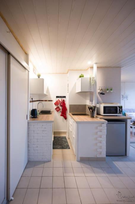Le Nid Aux Mouettes Apartment La Paree Preneau Bagian luar foto